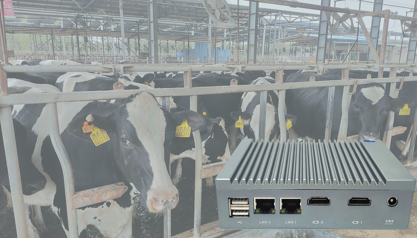 智慧养殖新“慧眼”：华科G6-RK3588边缘计算重塑畜牧健康管理